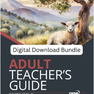 Adult Teacher Digital / Winter