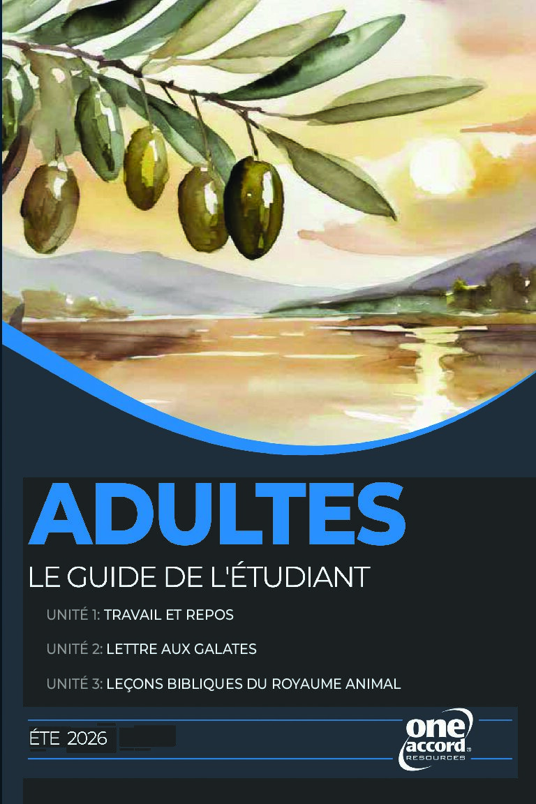 Adultes Le Guide De L'Etudiant / Summer