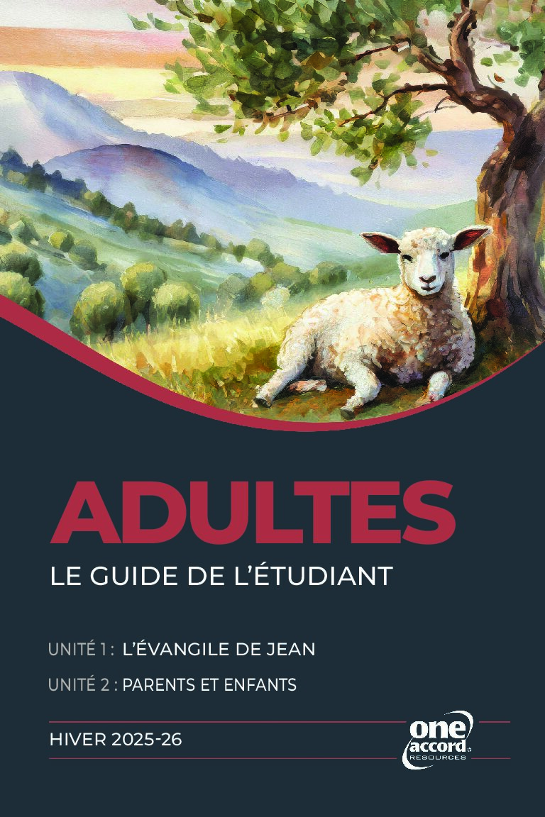 Adultes Le Guide De L'etudiant - Winter