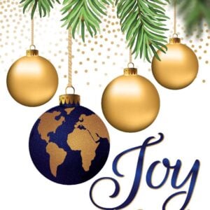 CARDS - Christmas Cards Boxed (Joy to the World)