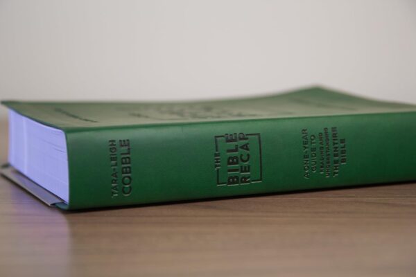 Bible Recap: A One-Year Guide to Reading and Understanding the Entire Bible, Deluxe Edition - Image 3