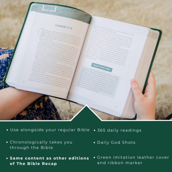 Bible Recap: A One-Year Guide to Reading and Understanding the Entire Bible, Deluxe Edition - Image 4