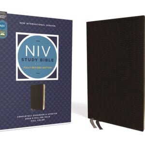 Bible-NIV Study/Comfort Print/Blk Bnd Lthr