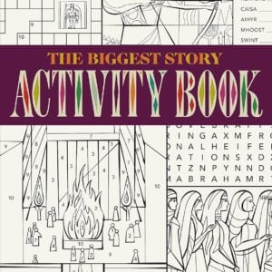 The Biggest Story Activity Book