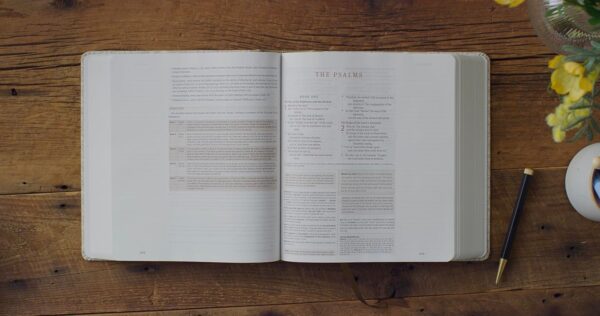 ESV Artist Series Journaling Study Bible (Lulie Wallace, Isa) - Image 3