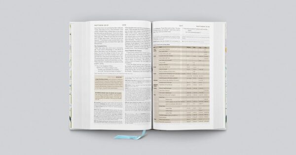 ESV Artist Series Student Study Bible (Lulie Wallace, Sunburst) - Image 2