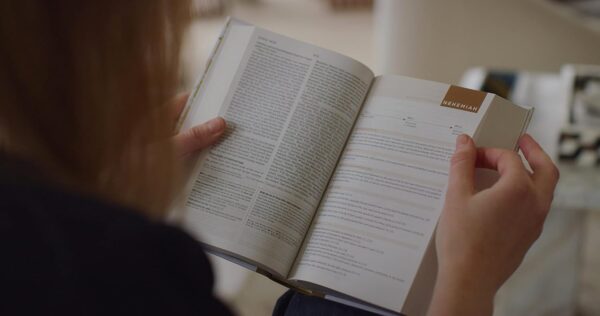 ESV Artist Series Student Study Bible (Lulie Wallace, Sunburst) - Image 4