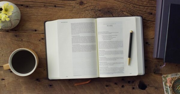 ESV Artist Series Single Column Journaling Bible (Joshua Noom, The Lion and the Lamb) - Image 3