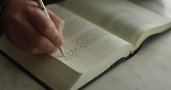 ESV Artist Series Single Column Journaling Bible (Joshua Noom, The Lion and the Lamb) - Image 4