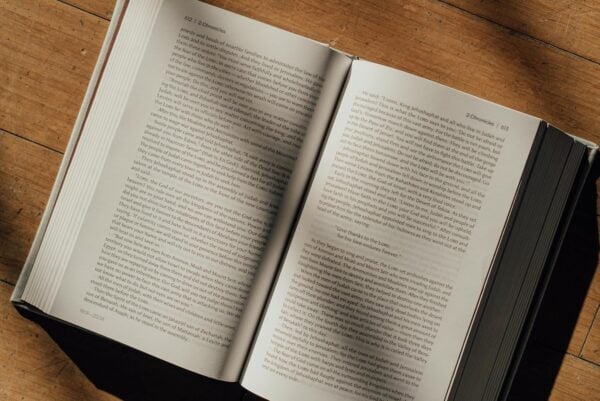 NIV Lectio Bible - Image 5