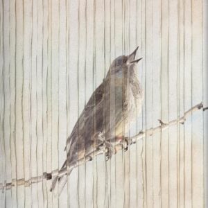 Upon Waking: 60 Daily Reflections to Discover Ourselves and the God We Were Made For