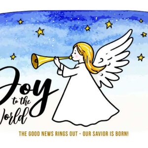 Cute Angel / Boxed Christmas Cards