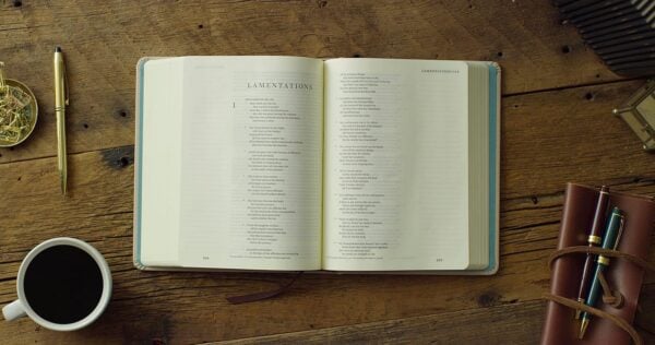 ESV Single Column Journaling Bible, Artist Series (Hardcover, Matt Stevens, Scenes of Redemption) - Image 3