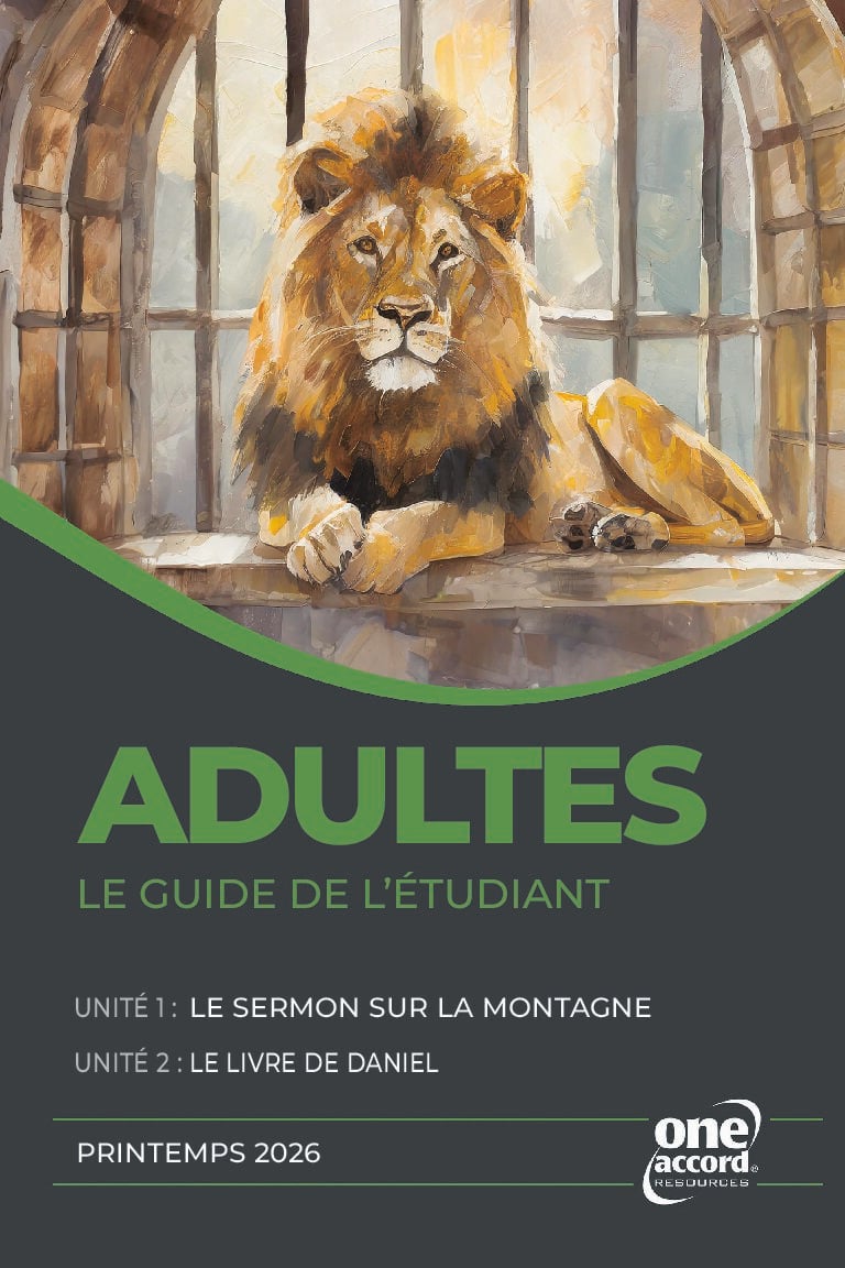 Adultes Le Guide De L'etudiant - Spring
