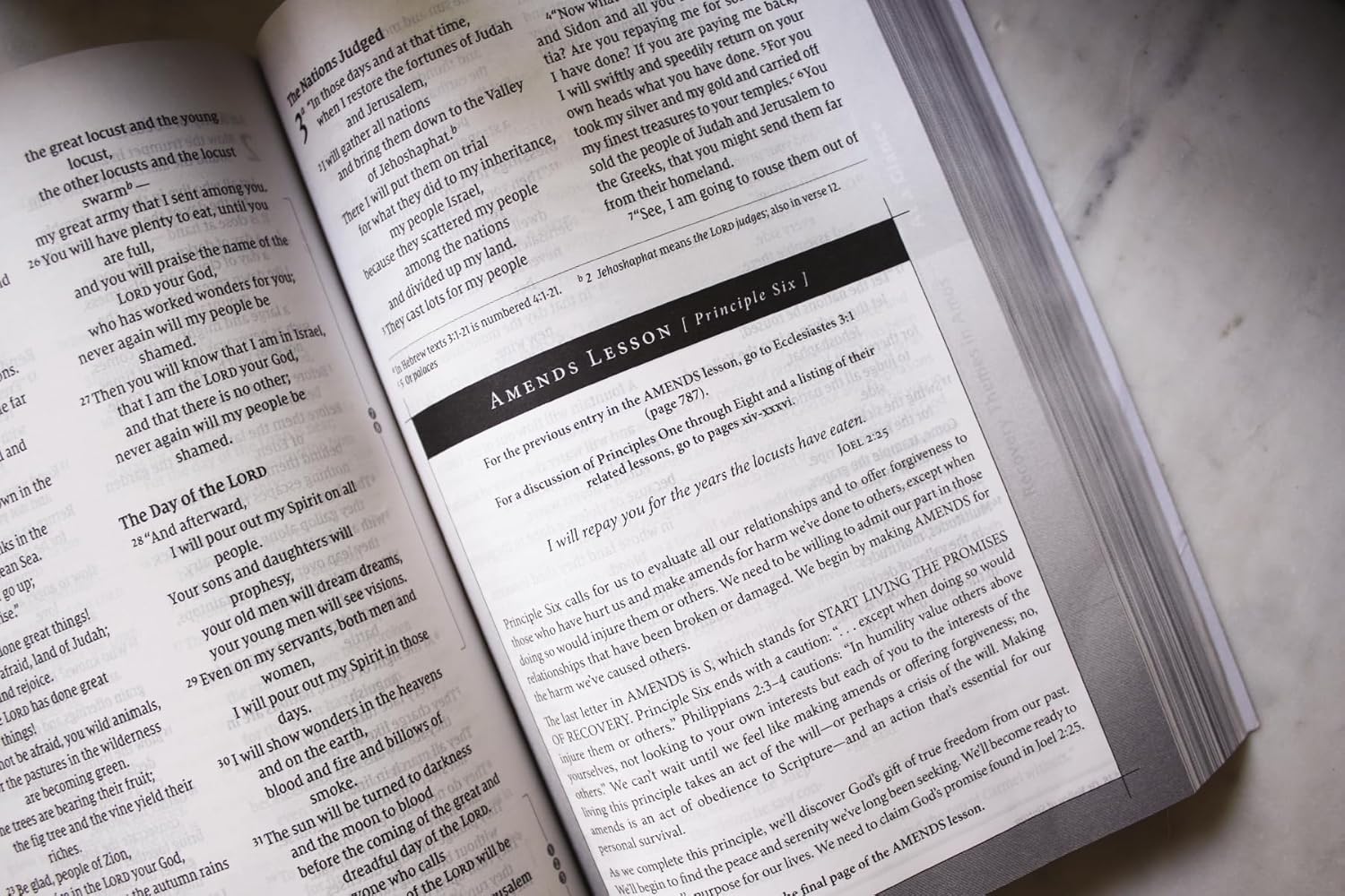 NIV, Celebrate Recovery Study Bible (35th Anniversary Edition), Paperback, Comfort Print - Image 3