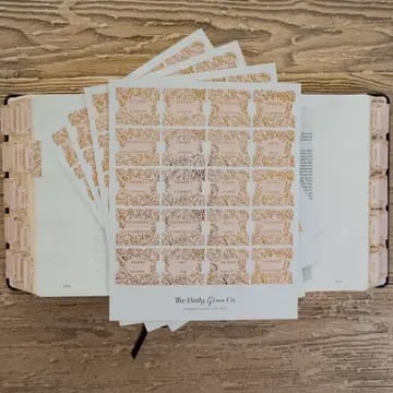 Gold Foil Bible Tabs - Carnation