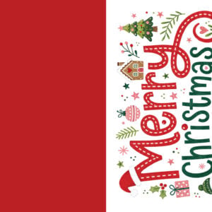 Christmas Card Boxed Set - Merry Christmas Whimsical