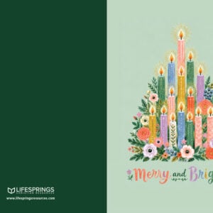 Christmas Card Boxed Set - Merry and Bright