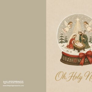 Christmas Card Boxed Set - Snow Globe